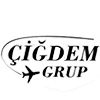 CIGDEMGRUP