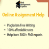 BEST ASSIGNMENT EXPERTS