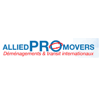 ALLIED PROMOVERS INTERNATIONAL