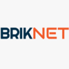 BRIKNET