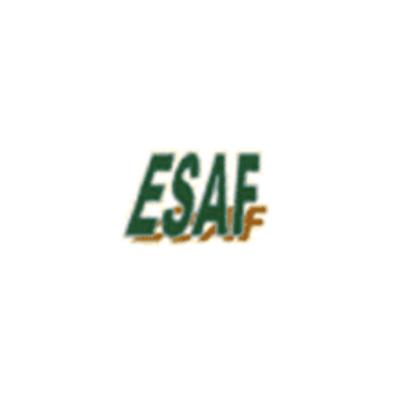 ESAF - RESISTENZE ELETTRICHE