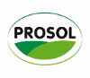 PROSOL S.P.A.