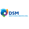 DSM FINANCE BV